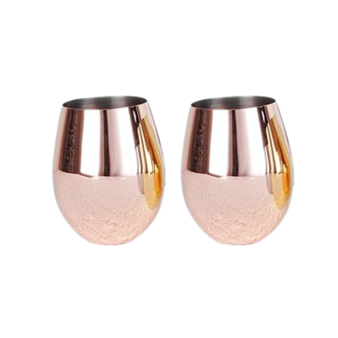 Stainless Steel Stemless Wine Glass (Set of 2)